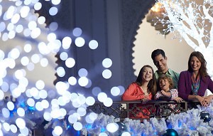 Busch Gardens Christmas lights