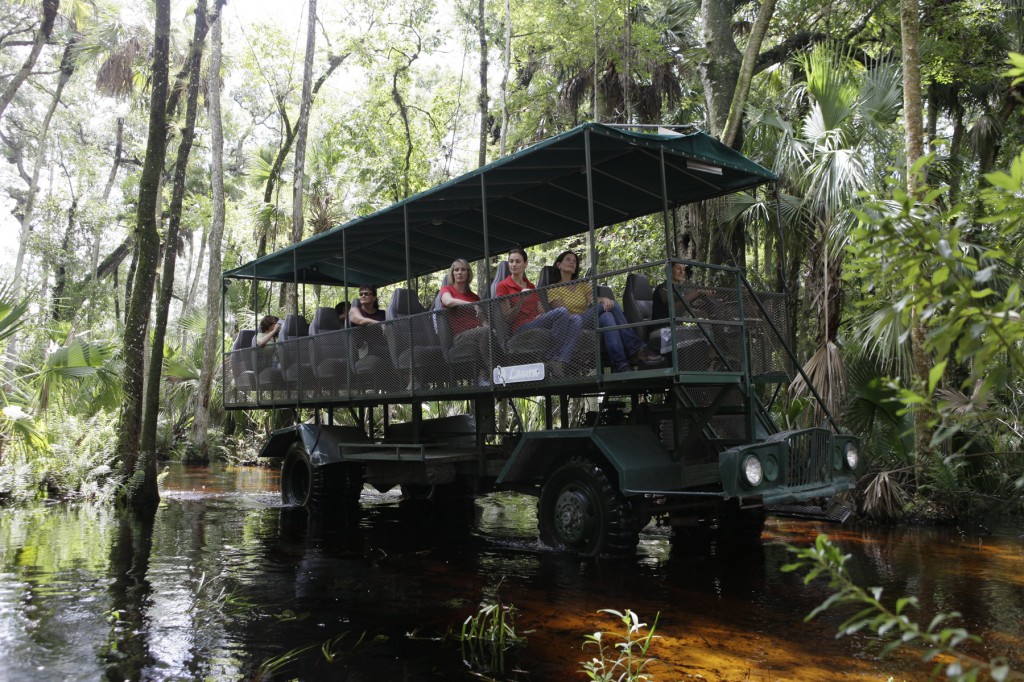 Florida Eco Safaris Coach Tour